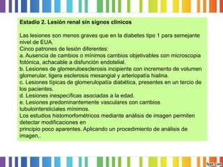 Estadio 2. Lesión renal sin signos clínicos
Las lesiones son menos graves que en la diabetes tipo 1 para semejante
nivel de EUA.
Cinco patrones de lesión diferentes:
a. Ausencia de cambios o mínimos cambios objetivables con microscopia
fotónica, achacable a disfunción endotelial.
b. Lesiones de glomeruloesclerosis incipiente con incremento de volumen
glomerular, ligera esclerosis mesangial y arteriopatía hialina.
c. Lesiones típicas de glomerulopatía diabética, presentes en un tercio de
los pacientes.
d. Lesiones inespecíficas asociadas a la edad.
e. Lesiones predominantemente vasculares con cambios
tubulointersticiales mínimos.
Los estudios histomorfométricos mediante análisis de imagen permiten
detectar modificaciones en
principio poco aparentes. Aplicando un procedimiento de análisis de
imagen,.

 