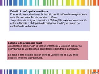 Estadio 4. Nefropatía manifiesta
Funcionalmente, disminuye la fracción de filtración e histológicamente
coincide con la esclerosis nodular o difusa.
La proteinuria es igual o superior a 300 mg/día, existiendo correlación
entre la fibrosis o el depósito de colágeno tipo IV y el tiempo de
evolución de la diabetes.

Estadio 5. Insuficiencia renal
La esclerosis glomerular, la fibrosis intersticial y la atrofia tubular se
acompañan de un descenso considerable del filtrado glomerular.
Se llega a este estadio tras un período variable de 15 a 20 años
desde el inicio de la proteinuria.

 
