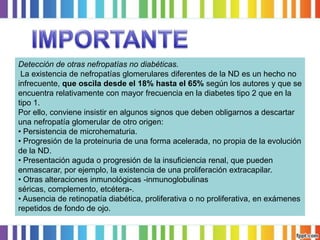 Detección de otras nefropatías no diabéticas.
La existencia de nefropatías glomerulares diferentes de la ND es un hecho no
infrecuente, que oscila desde el 18% hasta el 65% según los autores y que se
encuentra relativamente con mayor frecuencia en la diabetes tipo 2 que en la
tipo 1.
Por ello, conviene insistir en algunos signos que deben obligarnos a descartar
una nefropatía glomerular de otro origen:
• Persistencia de microhematuria.
• Progresión de la proteinuria de una forma acelerada, no propia de la evolución
de la ND.
• Presentación aguda o progresión de la insuficiencia renal, que pueden
enmascarar, por ejemplo, la existencia de una proliferación extracapilar.
• Otras alteraciones inmunológicas -inmunoglobulinas
séricas, complemento, etcétera-.
• Ausencia de retinopatía diabética, proliferativa o no proliferativa, en exámenes
repetidos de fondo de ojo.

 