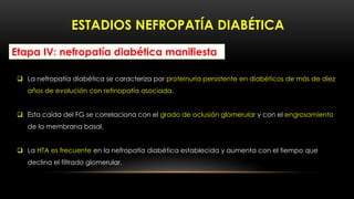 Etapa IV: nefropatía diabética manifiesta
 La nefropatía diabética se caracteriza por proteinuria persistente en diabétic...
