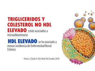 TRIGLICERIDOS Y
COLESTEROL NO HDL
ELEVADO
HDL ELEVADO
 