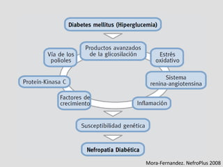 Mora-Fernandez. NefroPlus 2008
 