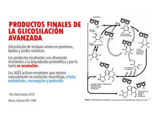 PRODUCTOS FINALES DE
LA GLICOSILACIÓN
AVANZADA
 