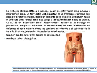 Instituto Mexicano del Seguro Social. Curso “Guía de Práctica Clínica para el Diagnóstico y Tratamiento de la Diabetes Mel...