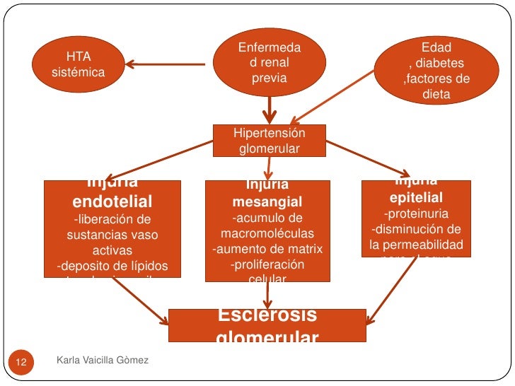 nefropatía hipertensiva fisiopatología de la diabetes