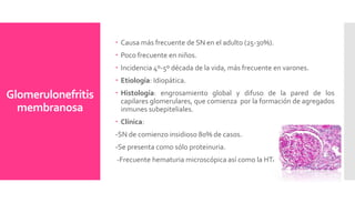 Glomerulonefritis
membranosa
 Causa más frecuente de SN en el adulto (25-30%).
 Poco frecuente en niños.
 Incidencia 4º-5º década de la vida, más frecuente en varones.
 Etiología: Idiopática.
 Histología: engrosamiento global y difuso de la pared de los
capilares glomerulares, que comienza por la formación de agregados
inmunes subepiteliales.
 Clínica:
-SN de comienzo insidioso 80% de casos.
-Se presenta como sólo proteinuria.
-Frecuente hematuria microscópica así como la HTA.
 