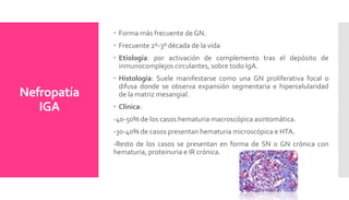 Nefropatía
IGA
 Forma más frecuente de GN.
 Frecuente 2º-3º década de la vida
 Etiología: por activación de complemento tras el depósito de
inmunocomplejos circulantes, sobre todo IgA.
 Histología: Suele manifestarse como una GN proliferativa focal o
difusa donde se observa expansión segmentaria e hipercelularidad
de la matriz mesangial.
 Clínica:
-40-50% de los casos hematuria macroscópica asintomática.
-30-40% de casos presentan hematuria microscópica e HTA.
-Resto de los casos se presentan en forma de SN o GN crónica con
hematuria, proteinuria e IR crónica.
 