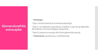 Glomerulonefritis
extracapilar
 Histología:
-Tipo I: tinción lineal de la membrana basal IgG.
-Tipo II: con depósitos granulares; el patrón y tipo de Ig dependen
de la GN por inmunocomplejos subyacente.
-Tipo III: ausencia o escasez de tinción glomerular para Ig.
 Tratamiento: prednisona y ciclofosfamida.
 