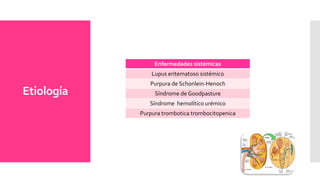 Etiología
Enfermedades sistémicas
Lupus eritematoso sistémico
Purpura de Schonlein-Henoch
Síndrome de Goodpasture
Síndrome hemolítico urémico
Purpura trombotica trombocitopenica
 