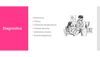 Diagnostico
Anamnesis.
 Clínica.
 Exámenes de laboratorio.
 Examen de orina.
• Sedimento urinario.
• Examen bioquímico.
 