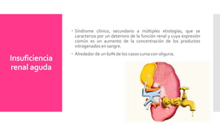 Insuficiencia
renal aguda
 Síndrome clínico, secundario a múltiples etiologías, que se
caracteriza por un deterioro de la función renal y cuya expresión
común es un aumento de la concentración de los productos
nitrogenados en sangre.
 Alrededor de un 60% de los casos cursa con oliguria.
 