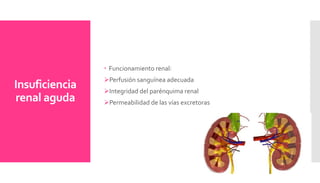 Insuficiencia
renal aguda
 Funcionamiento renal:
Perfusión sanguínea adecuada
Integridad del parénquima renal
Permeabilidad de las vías excretoras
 