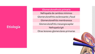 Etiología
Glomerulonefrosis primaria
Nefropatía de cambios mínimos
Glomerulonefritis esclerosante y focal
Glomerulonefritis membranosa
Glomerulonefritis mesangiocapilar
Nefropatía IgA
Otras lesiones glomerulares primarias
 