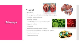 Etiología
Pre-renal
 Hipovolemia
• Hemorragias, quemaduras, deshidratación, fiebre prolongada.
• Pérdida por vía gastrointestinal.
• Pérdida por vía renal.
• Secuestro de líquido en el espacio extravascular.
 Bajo gasto cardíaco
• Cardiopatías.
• Hipertensión pulmonar, embolia pulmonar.
 Alteraciones de la resistencia vascular renal y periférica
• Vasodilatación sistémica.
• Vasoconstricción renal.
 