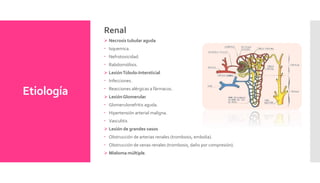 Etiología
Renal
 Necrosis tubular aguda
 Isquemica.
 Nefrotoxicidad.
 Rabdomiólisis.
 LesiónTúbulo-Intersticial
 Infecciones.
 Reacciones alérgicas a fármacos.
 LesiónGlomerular
 Glomerulonefritis aguda.
 Hipertensión arterial maligna.
 Vasculitis
 Lesión de grandes vasos
 Obstrucción de arterias renales (trombosis, embolia).
 Obstrucción de venas renales (trombosis, daño por compresión).
 Mieloma múltiple.
 
