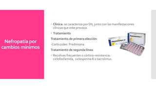 Nefropatía por
cambios mínimos
 Clínica: se caracteriza por SN, junto con las manifestaciones
clínicas que este provoca.
 Tratamiento
Tratamiento de primera elección:
-Corticoides: Prednisona.
Tratamiento de segunda línea:
 Recidivas frecuentes o córtico–resistencia.:
ciclofosfamida, ciclosporinaA o tacrolimus.
 
