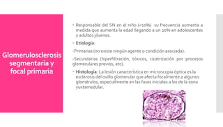 Glomerulosclerosis
segmentaria y
focal primaria
 Responsable del SN en el niño (<10%) su frecuencia aumenta a
medida que aumenta la edad llegando a un 20% en adolescentes
y adultos jóvenes.
 Etiología:
-Primarias (no existe ningún agente o condición asociada).
-Secundarias (hiperfiltración, tóxicos, cicatrización por procesos
glomerulares previos, etc).
 Histología: La lesión característica en microscopia óptica es la
esclerosis del ovillo glomerular que afecta focalmente a algunos
glomérulos, especialmente en las fases iniciales a los de la zona
yuxtamedular.
 