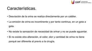 Características.
• Desviación de la orina se realiza directamente por un catéter.
• La emisión de orina es incontinente y por tanto continua, en un gota a
gota.
• No existe la sensación de necesidad de orinar y no se puede aguantar.
• Si no existe otra alteración, el color, olor y cantidad de orina no tiene
porqué ser diferente al previo a la cirugía.
 