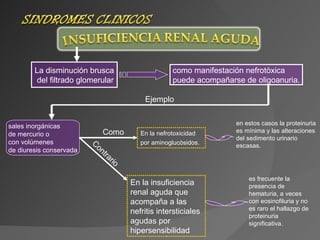En la nefrotoxicidad por aminoglucòsidos.   La disminución brusca del filtrado glomerular como manifestación nefrotòxica  puede acompañarse de oligoanuria. Ejemplo sales inorgánicas  de mercurio o  con volúmenes  de diuresis conservada Como En la insuficiencia renal aguda que acompaña a las nefritis intersticiales agudas por hipersensibilidad Contrario en estos casos la proteinuria es mínima y las alteraciones del sedimento urinario escasas.  es frecuente la presencia de hematuria, a veces con eosinofiluria y no es raro el hallazgo de proteinuria significativa. 