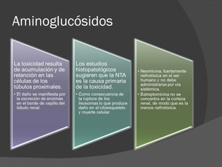Aminoglucósidos 