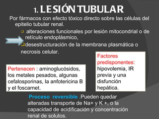 1.  LESIÓN TUBULAR     Por fármacos con efecto tóxico directo sobre las células del epitelio tubular renal. alteraciones funcionales por lesión mitocondrial o de retículo endoplásmico,  desestructuración de la membrana plasmática o necrosis celular.  Pertenecen  : aminoglucósidos, los metales pesados, algunas cefalosporinas, la anfotericina B y el foscarnet.    Factores predisponentes: hipovolemia, IR previa y una disfunción hepática.    Proceso  reversible . Pueden quedar alteradas transporte de Na+ y K +, o la capacidad de acidificación y concentración renal de solutos.  