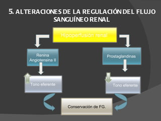 5.  ALTERACIONES DE LA REGULACIÓN DEL FLUJO SANGUÍNEO RENAL Hipoperfusión renal  Renina Angiotensina II  Prostaglandinas  Tono eferente  Tono eferente Conservación de FG. 