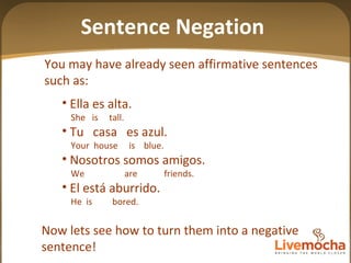 04 Spanish Negation from Livemocha