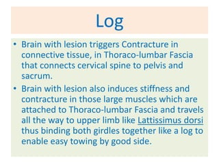 Log
• Brain with lesion triggers Contracture in
  connective tissue, in Thoraco-lumbar Fascia
  that connects cervical spine to pelvis and
  sacrum.
• Brain with lesion also induces stiffness and
  contracture in those large muscles which are
  attached to Thoraco-lumbar Fascia and travels
  all the way to upper limb like Lattissimus dorsi
  thus binding both girdles together like a log to
  enable easy towing by good side.
 
