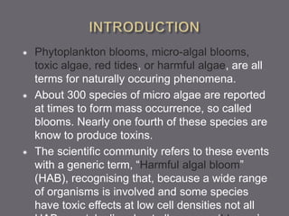  Phytoplankton blooms, micro-algal blooms,
toxic algae, red tides, or harmful algae, are all
terms for naturally occuring phenomena.
 About 300 species of micro algae are reported
at times to form mass occurrence, so called
blooms. Nearly one fourth of these species are
know to produce toxins.
 The scientific community refers to these events
with a generic term, “Harmful algal bloom”
(HAB), recognising that, because a wide range
of organisms is involved and some species
have toxic effects at low cell densities not all
 