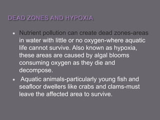  Nutrient pollution can create dead zones-areas
in water with little or no oxygen-where aquatic
life cannot survive. Also known as hypoxia,
these areas are caused by algal blooms
consuming oxygen as they die and
decompose.
 Aquatic animals-particularly young fish and
seafloor dwellers like crabs and clams-must
leave the affected area to survive.
 