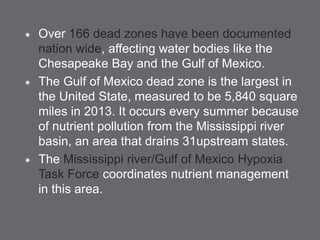  Over 166 dead zones have been documented
nation wide, affecting water bodies like the
Chesapeake Bay and the Gulf of Mexico.
 The Gulf of Mexico dead zone is the largest in
the United State, measured to be 5,840 square
miles in 2013. It occurs every summer because
of nutrient pollution from the Mississippi river
basin, an area that drains 31upstream states.
 The Mississippi river/Gulf of Mexico Hypoxia
Task Force coordinates nutrient management
in this area.
 