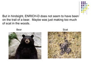 But in hindsight, ENRICH-D does not seem to have been
on the trail of a bear. Maybe was just making too much
of scat in the woods.
Bear Scat
 