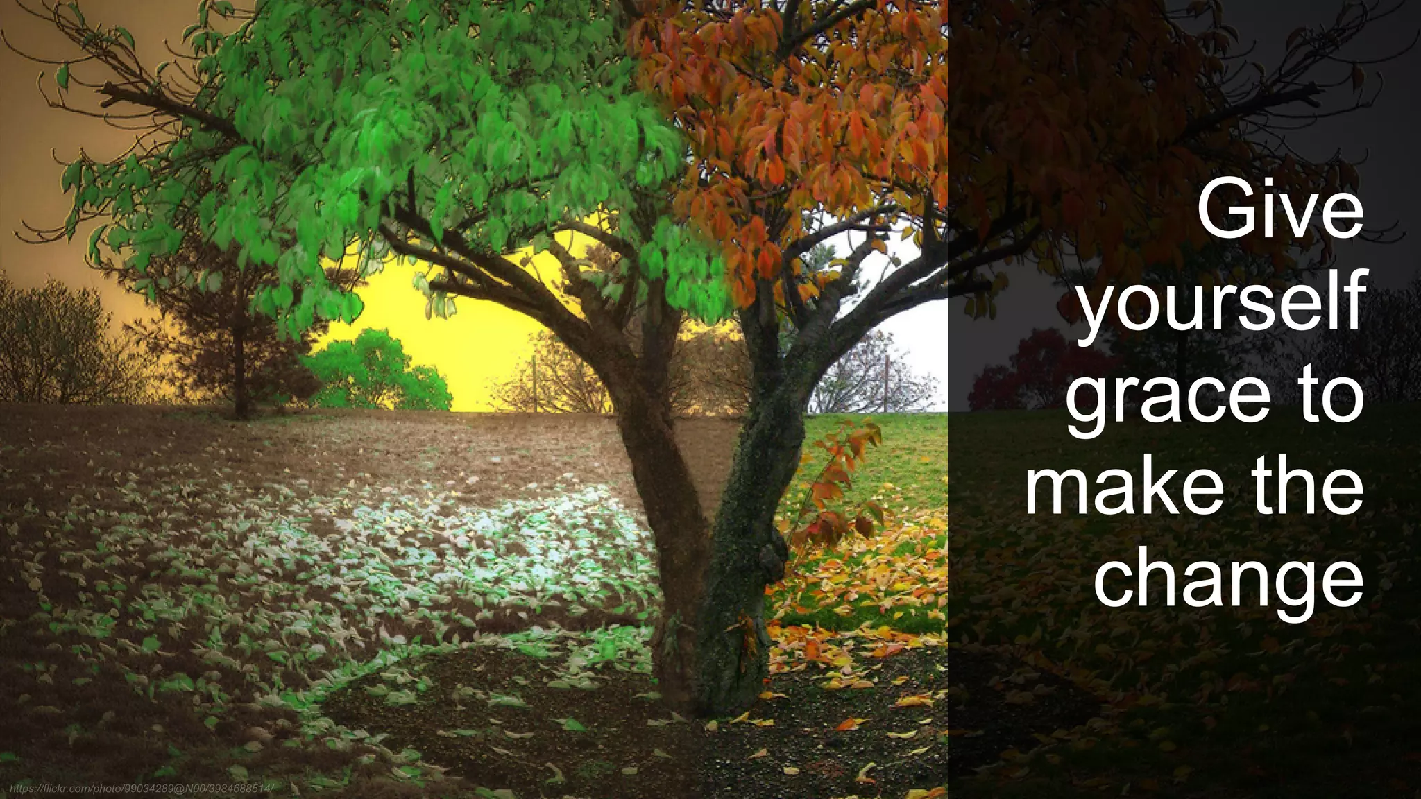 Give
yourself
grace to
make the
change
 