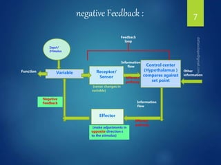 7
Input/
Stimulus
Receptor/
Sensor
Effector
Control center
(Hypothalamus )
compares against
set point
Variable
Function Other
information
Information
flow
Information
flow
Feedback
loop
Afferent
pathway
Efferent
pathway
Negative
Feedback
(make adjustments in
opposite direction s
to the stimulus)
(sense changes in
variable)
negative Feedback :
 