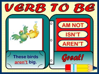 AM NOT ISN’T AREN’T These birds ______ big. Great! aren’t VERB TO BE  