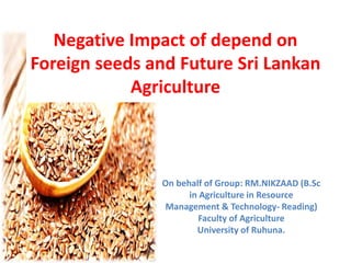 Negative Impact of depend on
Foreign seeds and Future Sri Lankan
Agriculture
On behalf of Group: RM.NIKZAAD (B.Sc
in Agriculture in Resource
Management & Technology- Reading)
Faculty of Agriculture
University of Ruhuna.
 