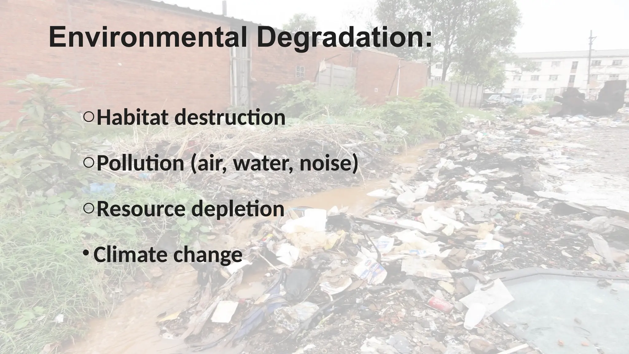 Negative impacts of urbanization and strategies to reduce these impacts