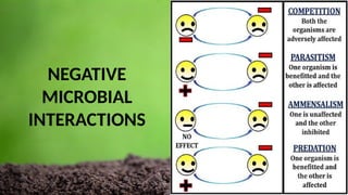 NEGATIVE
MICROBIAL
INTERACTIONS
 