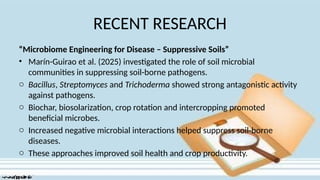 RECENT RESEARCH
“Microbiome Engineering for Disease – Suppressive Soils”
• Marín-Guirao et al. (2025) investigated the role of soil microbial
communities in suppressing soil-borne pathogens.
o Bacillus, Streptomyces and Trichoderma showed strong antagonistic activity
against pathogens.
o Biochar, biosolarization, crop rotation and intercropping promoted
beneficial microbes.
o Increased negative microbial interactions helped suppress soil-borne
diseases.
o These approaches improved soil health and crop productivity.
 