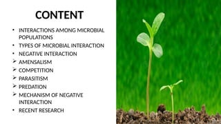 CONTENT
• INTERACTIONS AMONG MICROBIAL
POPULATIONS
• TYPES OF MICROBIAL INTERACTION
• NEGATIVE INTERACTION
 AMENSALISM
 COMPETITION
 PARASITISM
 PREDATION
 MECHANISM OF NEGATIVE
INTERACTION
• RECENT RESEARCH
 