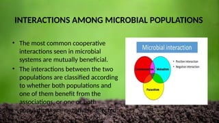 INTERACTIONS AMONG MICROBIAL POPULATIONS
• The most common cooperative
interactions seen in microbial
systems are mutually beneficial.
• The interactions between the two
populations are classified according
to whether both populations and
one of them benefit from the
associations, or one or both
populations are negatively affected.
 
