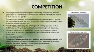 COMPETITION
• The competition represents a negative relationship between two microbial
populations in which both the population are adversely affected with respect
to their survival and growth.
• Competition occurs when both populations use the same resources such as
the same space or same nutrition, so, the microbial population achieves lower
maximum density or growth rate.
• Microbial population competes for any growth-limiting resources such as
carbon source, nitrogen source, phosphorus, vitamins, growth factors etc.
• Competition inhibits both populations from occupying exactly the same
ecological niche because one will win the competition and the other one is
eliminated.
• Example of competition:
• Competition between Paramecium caudatum and Paramecium aurelia: Both
species of Paramecium feeds on the same bacteria population when these
protozoa are placed together. P. aurelia grow at a better rate
than P. caudatum due to competition.
 