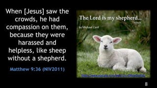 The True Shepherd - Ezekiel 34
