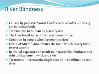 River Blindness
 Caused by parasitic Worm Onchocerca volvulus ---lives 14
yrs in human body
 Transmitted to human by blackfly bite
 The flies breed in fast flowing streams of river
 Common in people who live near the river
 Death of Microfilaria librates the toxin which is very toxic
to eyes an skin
 Repeated exposure can result in ir-reversible blindness and
skin disfigurement----Lizard skin
 Treatment---Ivermectin single dose or in combination with
doxy
 
