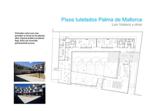 Pisos tutelados Palma de Mallorca
                        Luis Velasco y otros


ú
 