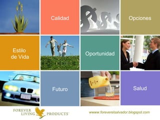 Calidad Futuro Opciones Estilo  de Vida Oportunidad Salud wwww.foreverelsalvador.blogspot.com 