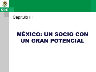 Capítulo III



  MÉXICO: UN SOCIO CON
   UN GRAN POTENCIAL
 
