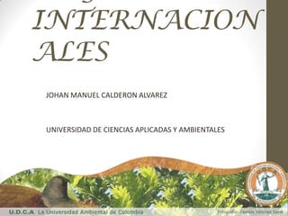 INTERNACION
ALES
JOHAN MANUEL CALDERON ALVAREZ
UNIVERSIDAD DE CIENCIAS APLICADAS Y AMBIENTALES
 