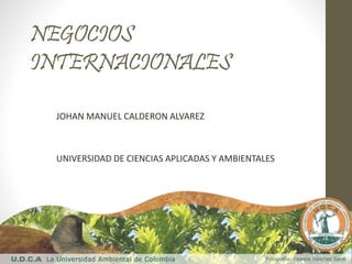 NEGOCIOS
INTERNACIONALES
JOHAN MANUEL CALDERON ALVAREZ
UNIVERSIDAD DE CIENCIAS APLICADAS Y AMBIENTALES
 