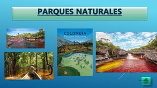 08/11/2019Karen Carreño Diaz
 